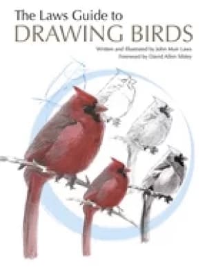 laws guide to drawing birds