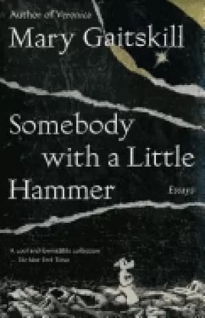 somebody with a little hammer essays