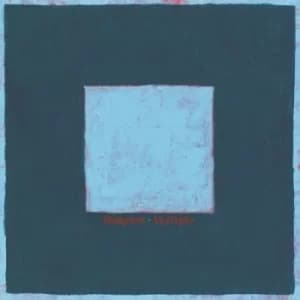 Skylight by Pinegrove Vinyl Album