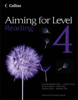 Level 4 Reading by Caroline Bentley-Davies Paperback