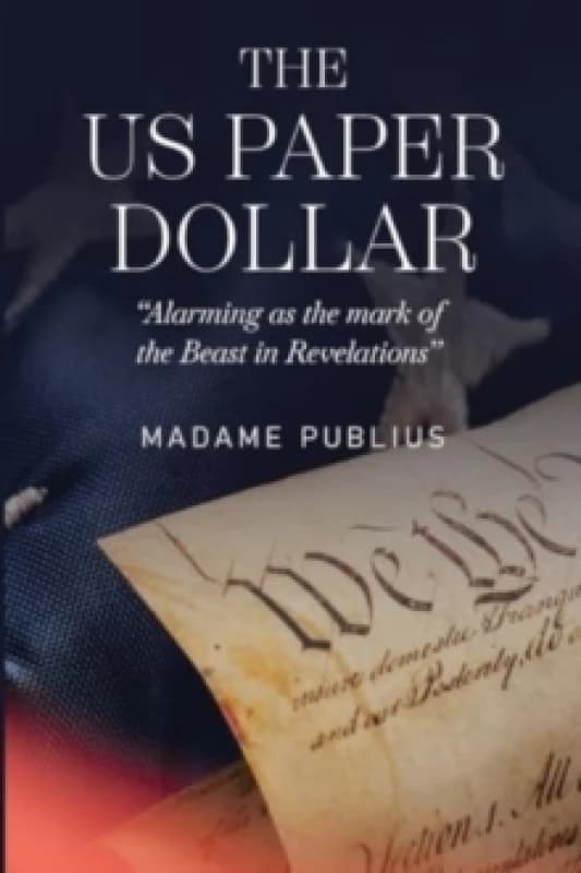 The US Paper Dollar Paperback / softback