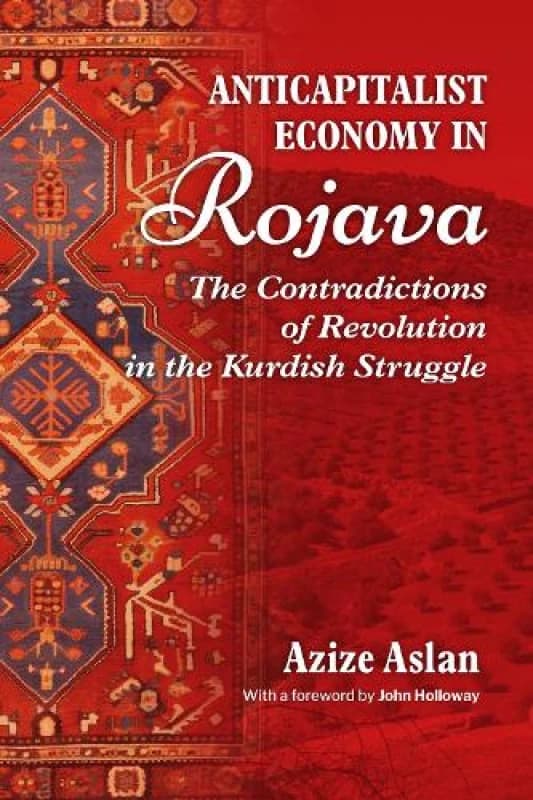 Anticapitalist Economy In Rojava : The Contradictions of the Revolution in the Struggles of the Kurds Paperback / softback