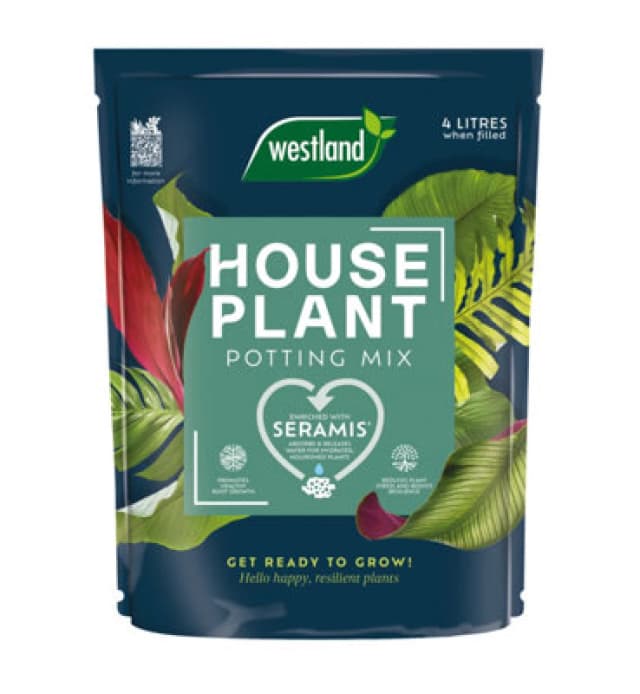 Westland Houseplant Potting Mix Blue