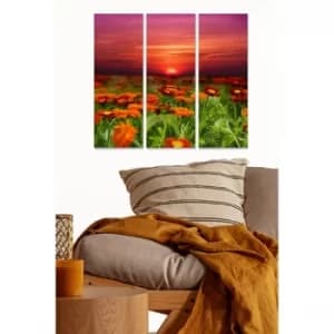 MDF3872309 Multicolor Decorative MDF Painting (3 Pieces)