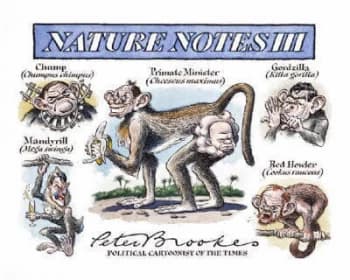 Nature Notes Iii by Peter Brookes Hardback