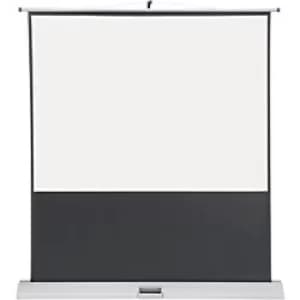 Franken 78" DYNFR0344 Portable Projector Screen