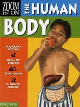 Zoom in on the Human Body by Sally Morgan Paperback