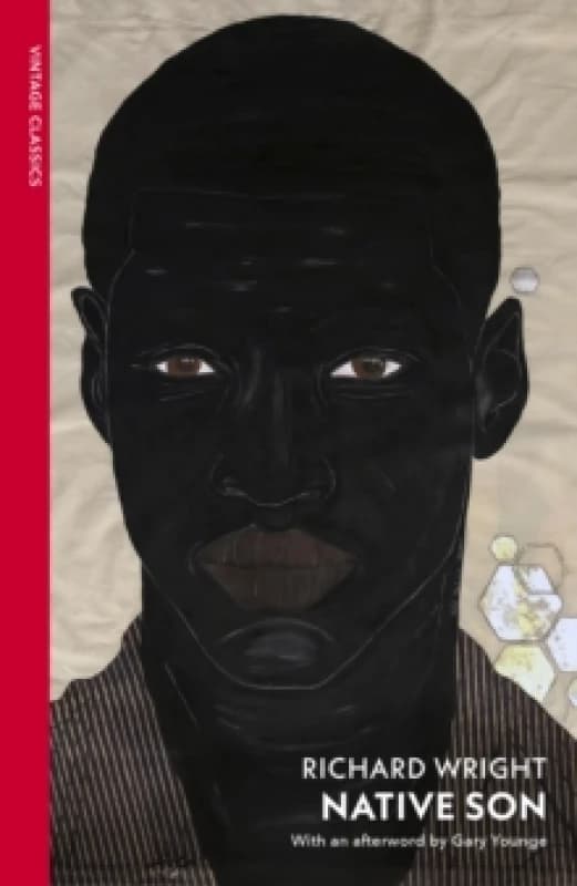 Native Son Paperback / softback