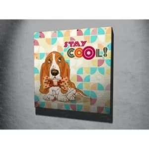 KC029 Multicolor Decorative Canvas Painting