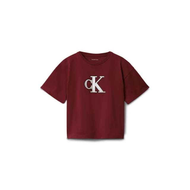 Calvin Klein Jeans Kids Big Logo Regular Fit T-Shirt Raspberry XU4 female 12Y