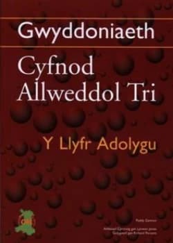 Gwyddoniaeth by Paddy Gannon Book