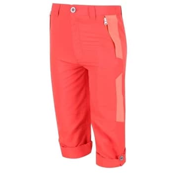 Regatta Sorcer Mt Trousers V - NeonPch/FusC