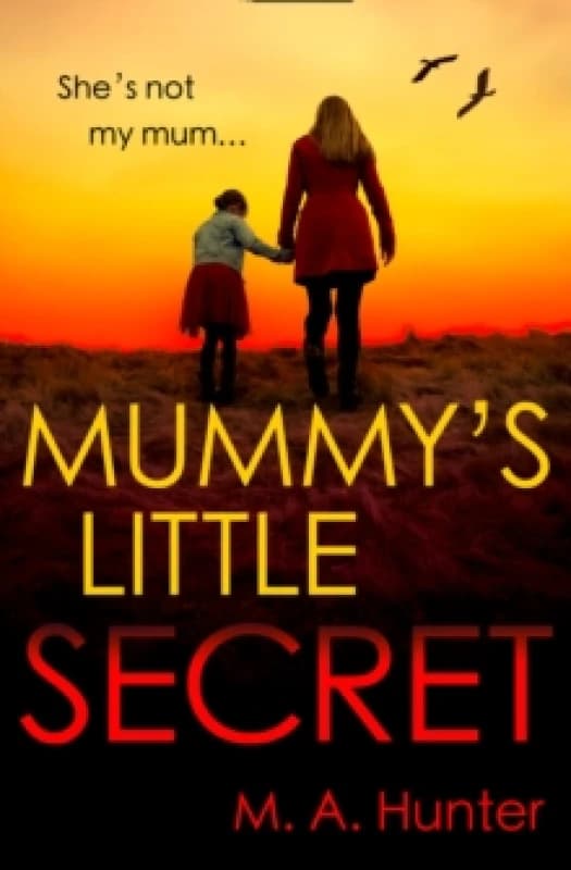 Mummys Little Secret Paperback / softback