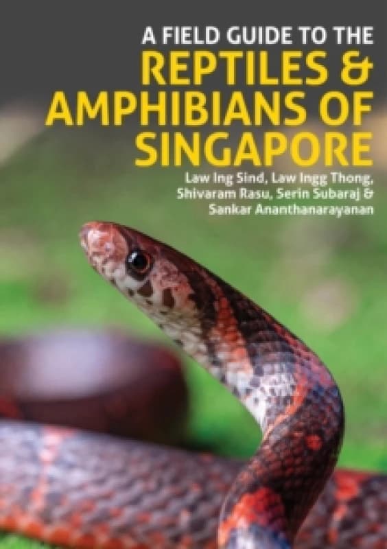 A Field Guide to the Reptiles and Amphibians of Singapore Paperback / softback