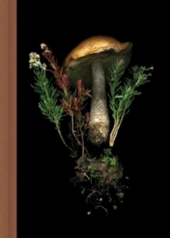 Deep Dark Forest Mushroom Journal Diary or journal