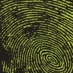 Every Man for Himself by Hoobastank CD Album