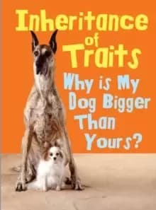 Inheritance of Traits : Why Is My Dog Bigger Than Your Dog?