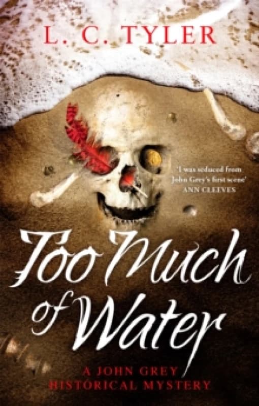 Too Much of Water : a gripping historical crime novel Paperback / softback