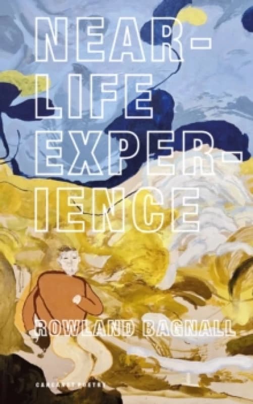 Near-Life Experience Paperback / softback