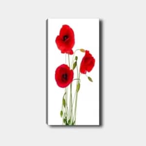 DKY12803_50120 Multicolor Decorative Canvas Painting