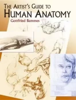 The Artist's Guide to Human Anatomy by Gottfried Bammes