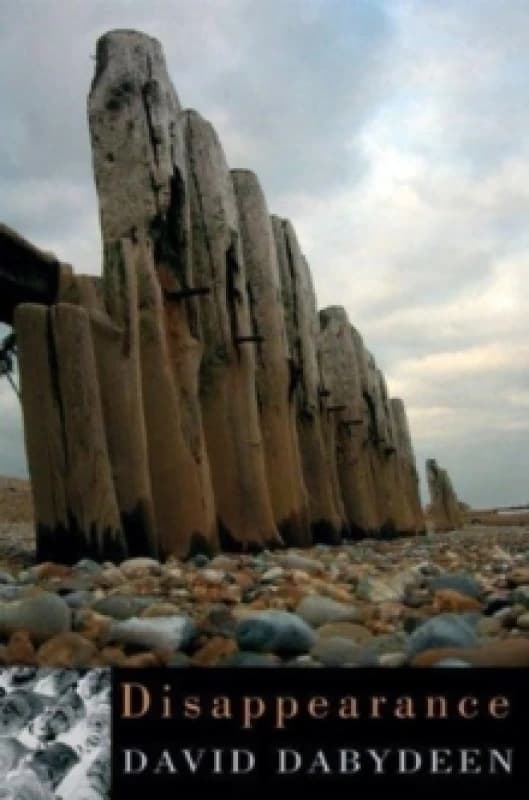 Disappearance Paperback / softback