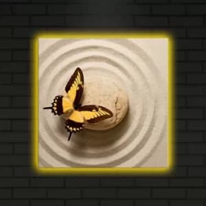 4040DACT-4 Multicolor Decorative LED Lighted Canvas Painting