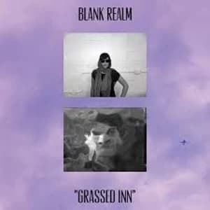 Blank Realm - Grassed Inn" Vinyl