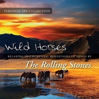 Judson Mancebo - Wild Horses CD