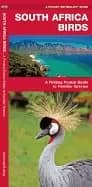 south africa birds a folding pocket guide to familiar species
