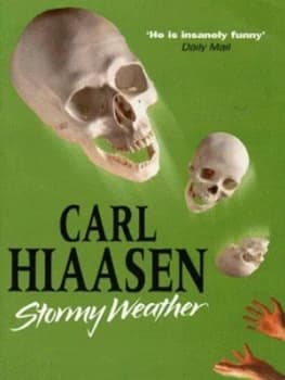 Stormy Weather by Carl Hiaasen Paperback