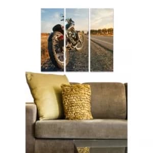 MDF290736494 Multicolor Decorative MDF Painting (3 Pieces)