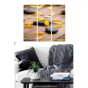 MDF36339261 Multicolor Decorative MDF Painting (3 Pieces)