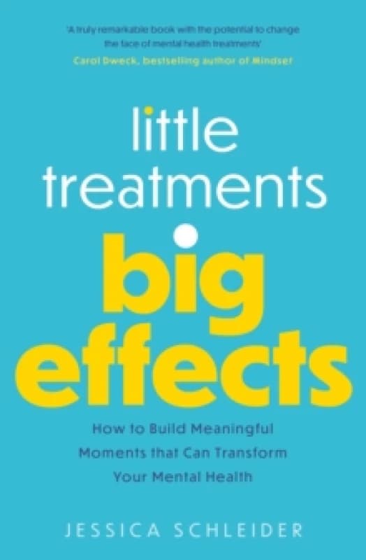 Little Treatments, Big Effects : How to Build Meaningful Moments that Can Transform Your Mental Health Paperback / softback