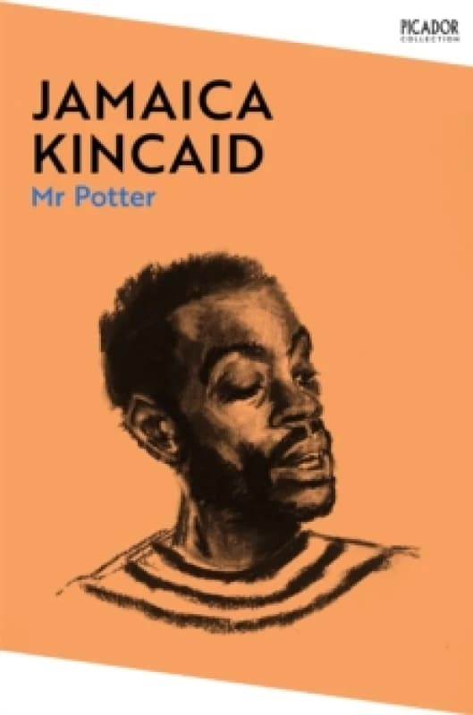 Mr Potter Paperback / softback