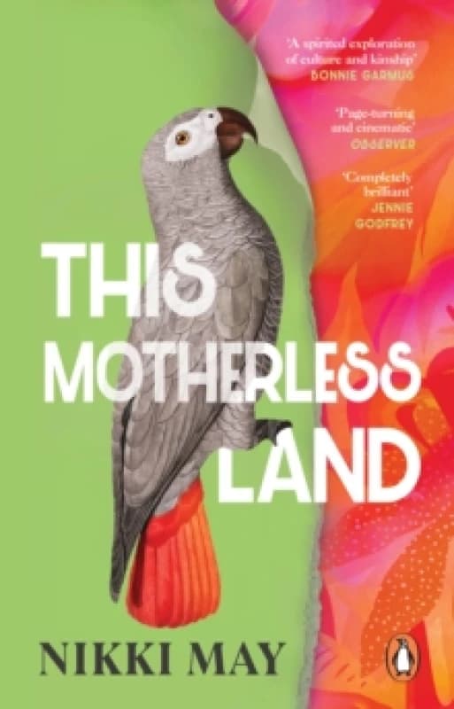 This Motherless Land Paperback / softback
