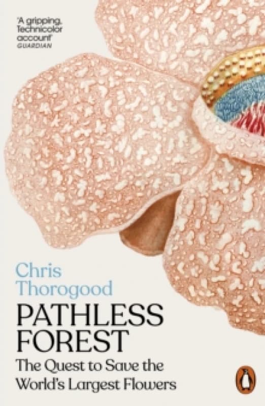 Pathless Forest : The Quest to Save the Worlds Largest Flowers Paperback / softback