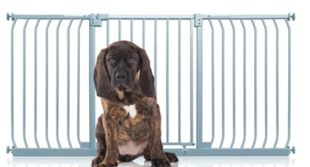 Bettacare Elite Pressure Dog Gate, 170Cm - 179Cm, Matt Grey, Pressure Fit Pet Gate For Dog And Puppy