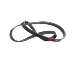 RIDEX V-ribbed belt 305P0392 Serpentine belt,Auxiliary belt BMW,FIAT,PEUGEOT,7 (E32),8 (E31),500 (312),PUNTO (188),500 C (312),STILO (192)