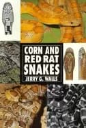 guide to owning a corn snake