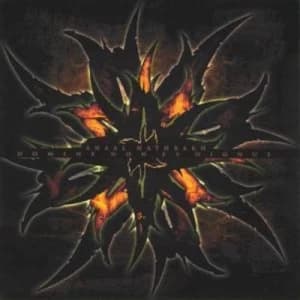 Domine Non Es Dignus by Anaal Nathrakh CD Album