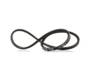 Bosch V Belt FORD,RENAULT,FIAT 1 987 947 645 02532648,2532648,5414629N Fenner Belt 575019,575054,01614009,02843221,1614009,2843221,4696714,5414629