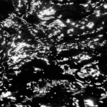 GROUPER - AIA: Dream Loss Vinyl