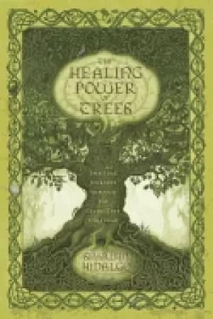 healing power of trees spiritual journeys through the celtic tree calendar