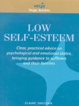 Low Self-Esteem by Elaine Sheehan Paperback