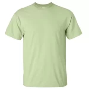 Gildan Mens Ultra Cotton Short Sleeve T-Shirt (S) (Pistachio)