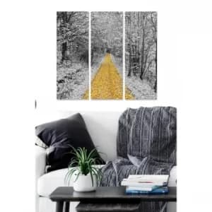 MDF83754 Multicolor Decorative MDF Painting (3 Pieces)