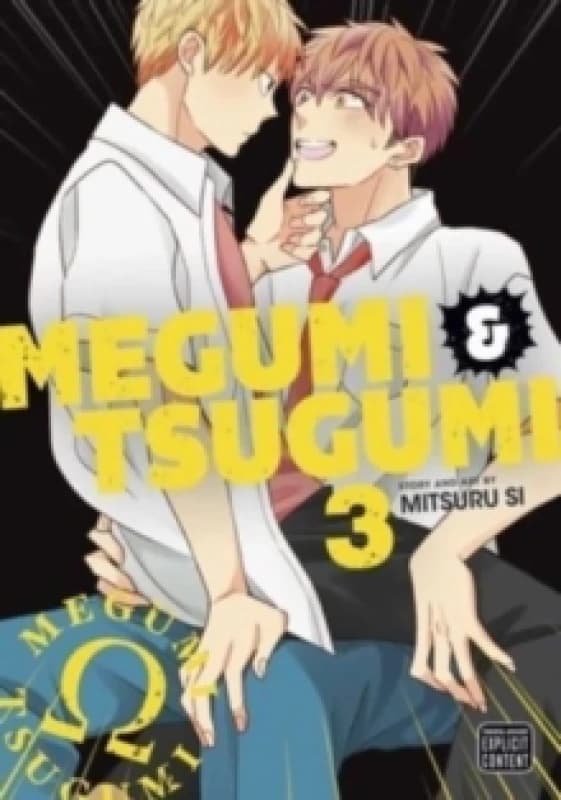 Megumi & Tsugumi, Vol. 3 Paperback / softback
