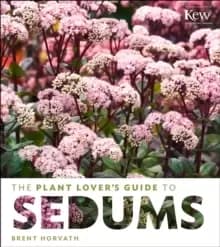 Plant Lover's Guide to Sedums