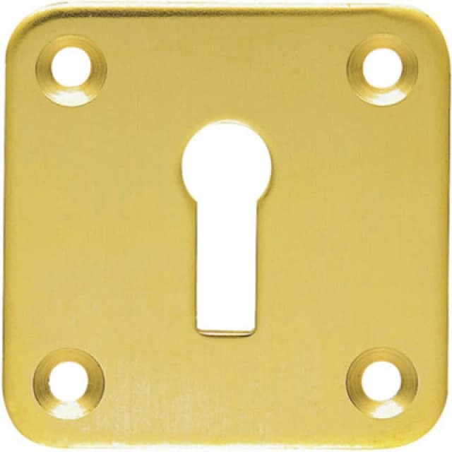Loops Standard Lock Profile Open Escutcheon 50 x 50mm Polished Brass Keyhole Cover Metallics unisex